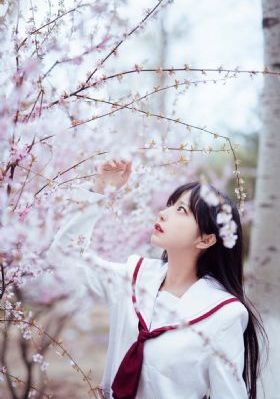 《龙月2》泰剧全集免费观看中文_高清免费在线观看